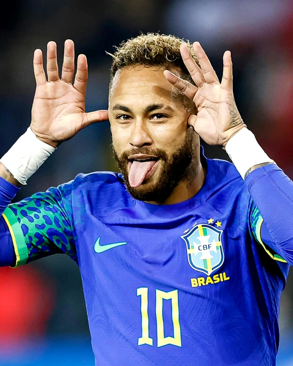 丹麦名将鲁 丹麦名将鲁