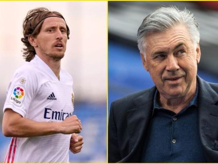 这一举动不 这一举动不